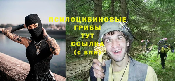 трава Верея