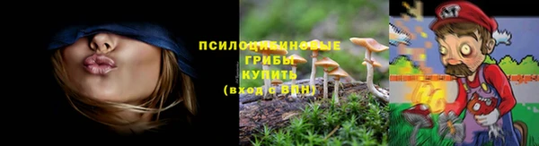 трава Верея