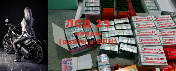 трава Верея