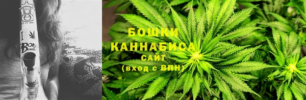 трава Верея