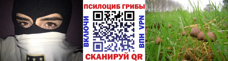 даркнет сайт  Пятигорск  Галлюциногенные грибы мицелий 
