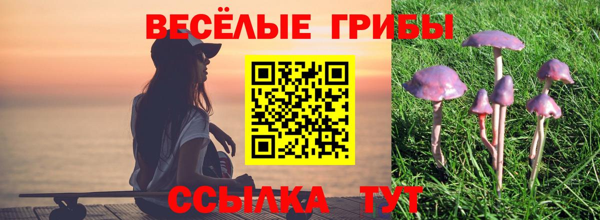 сколько стоит  Галлюциногенные грибы ЛСД  Вход с VPN  Пятигорск 